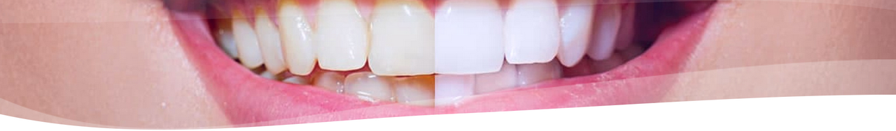Dental Studio Kft